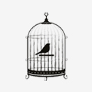 Oiseaux