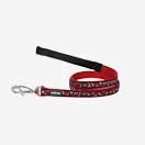 Colliers Chien