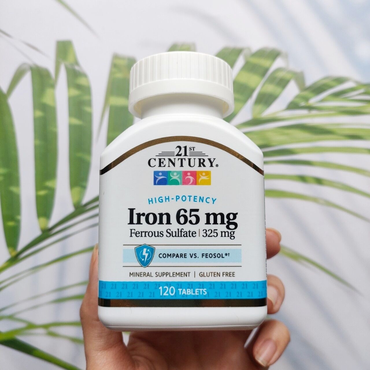 ธาตุเหล็ก High potency Iron 65 mg 120 Tablets (21st Century®)  ช่วยสร้างเม็ดเลือดแดง ป้องกันโรคโลหิตจาง - Lazada.co.th