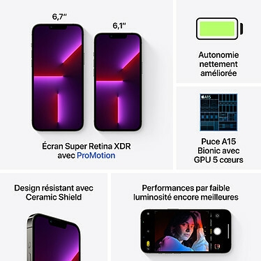 Apple iPhone 13 Pro 256 Go Graphite · Reconditionné
