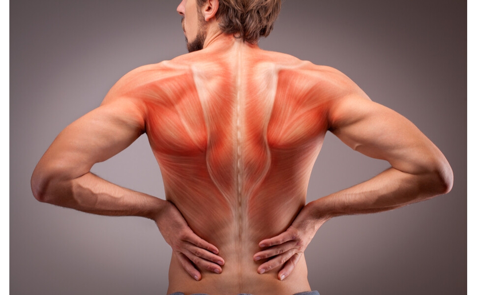 Nebula barres de prise de force