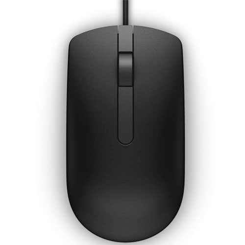 DELL MS116 souris Ambidextre USB Type-A Optique 1000 DPI (MS116-BK)