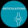Articulations - Capital osseux