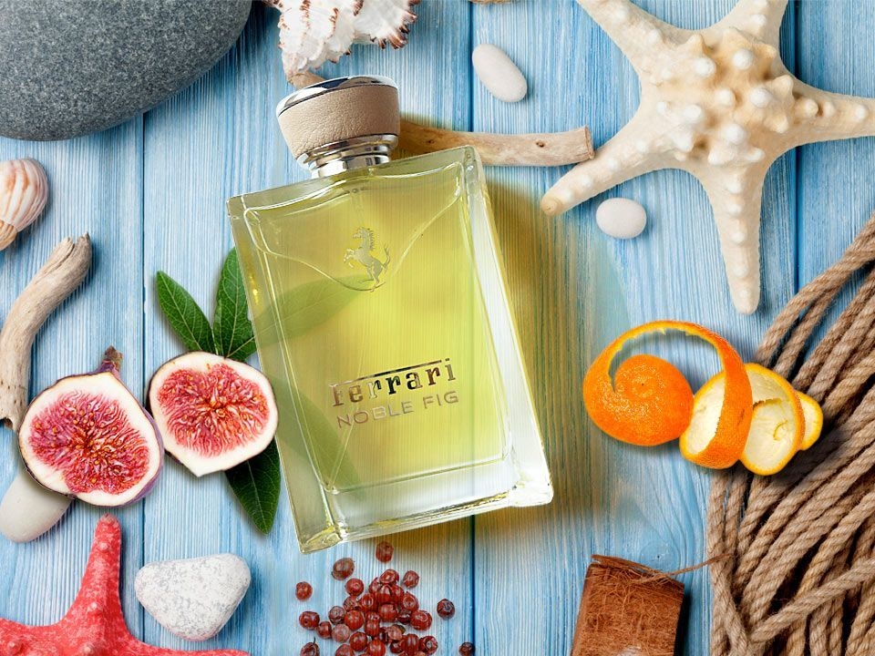 Résultat de recherche d'images pour 