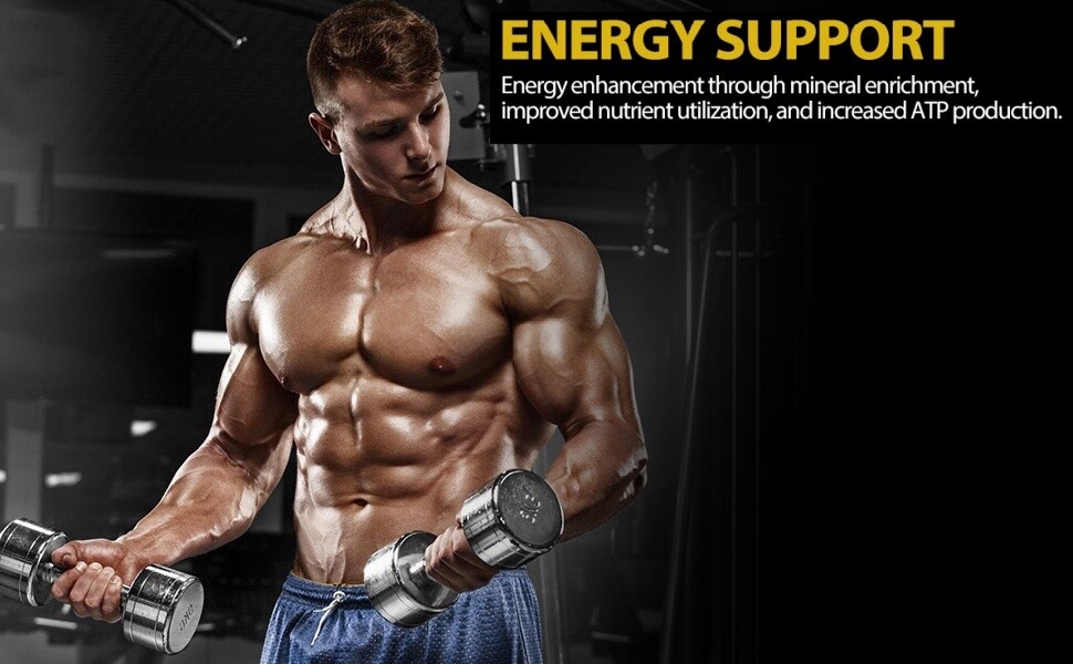 Publicité de fitness présentant des équipements d'entraînement et un texte « ENERGY SUPPORT » faisant la promotion de l'amélioration de l'énergie et de l'utilisation des nutriments pour la production d'ATP