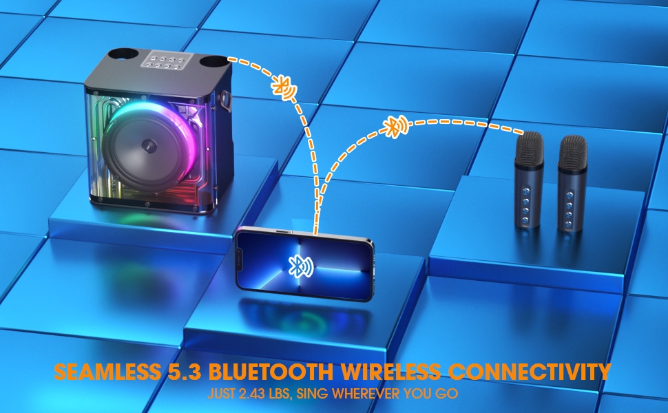 portable speaker with microphone