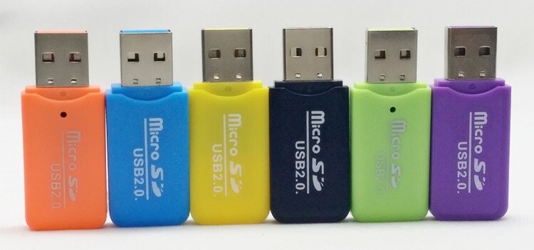 1827034261_1711672969