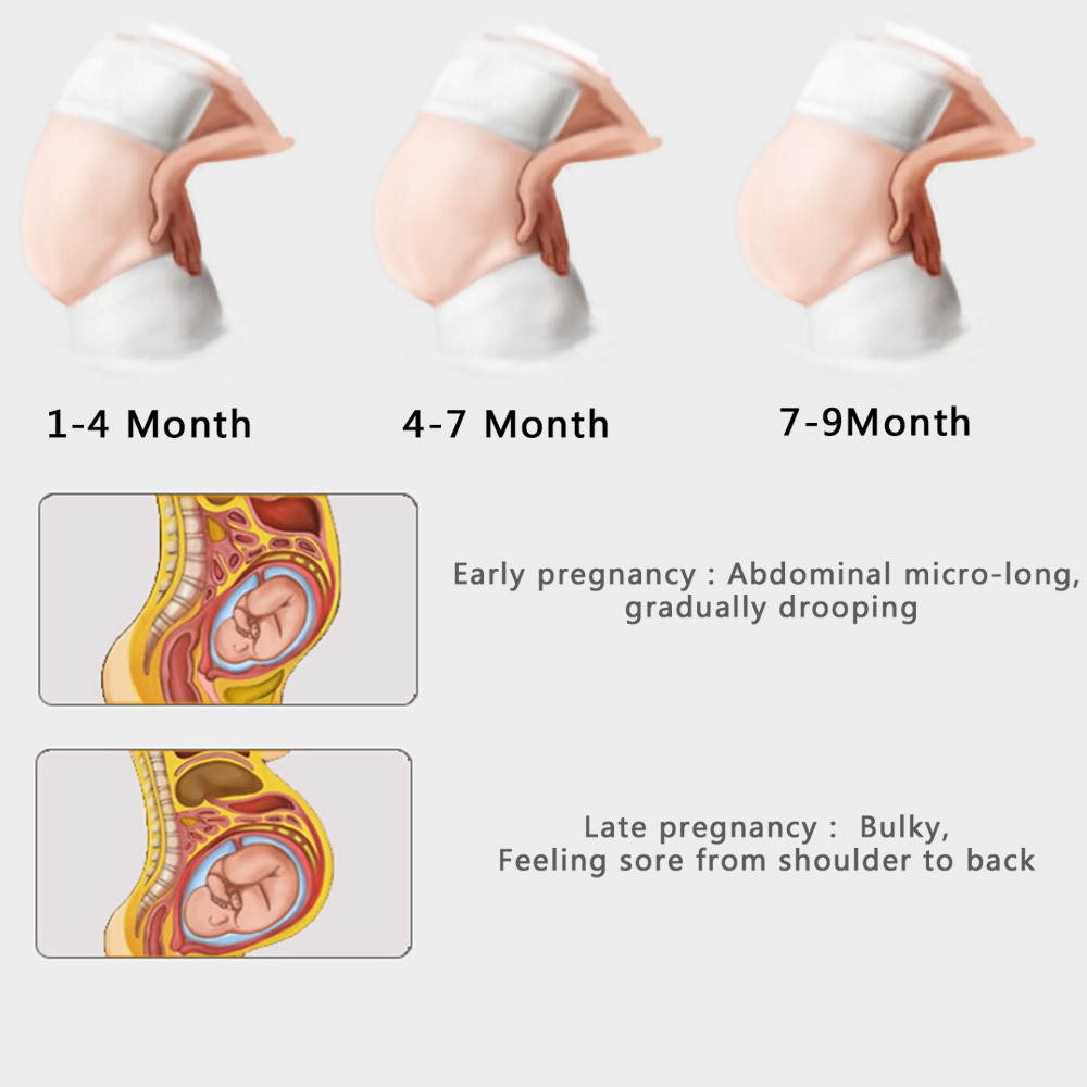 d41c9aa6efab80bb688cbc473ef40711