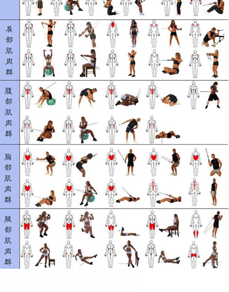 11 PcsSet Latex Resistance Bands Crossfit Training Exercise Yoga Tubes Pull Rope,Rubber Expander Elastic Bands Fitness with Bag (4)