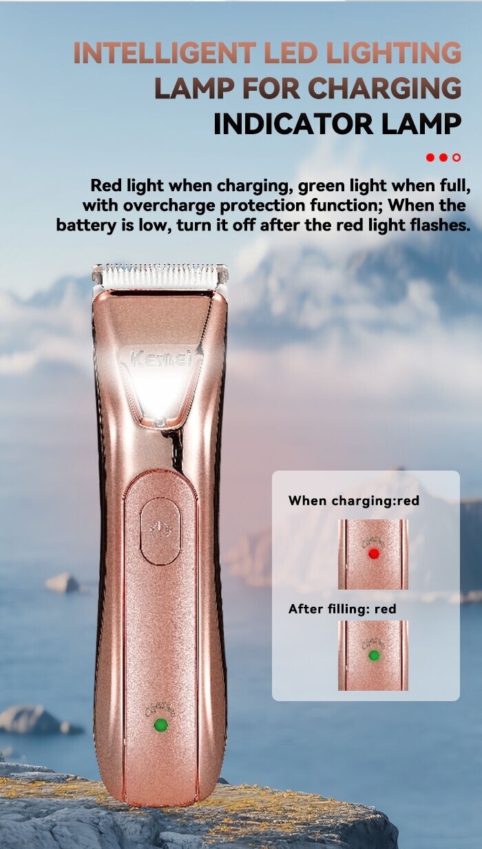 KEMEI km-259 2 In 1 Epilator Hair Trimmer Electric Shaver Hair Cutting Machine Lady Shaver Washable Body Hair Trimmer For Women supplier