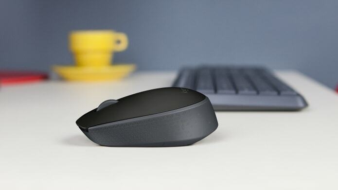 M171 souris-910-004424