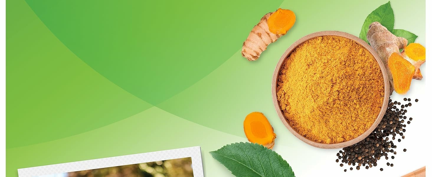 What is Turmeric Curcumin?