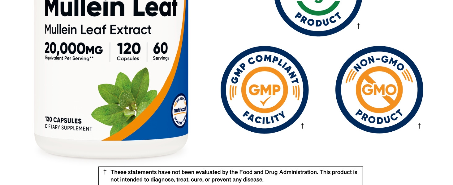 Mullein Leaf