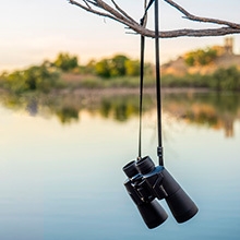Jumelles suspendues à la branche