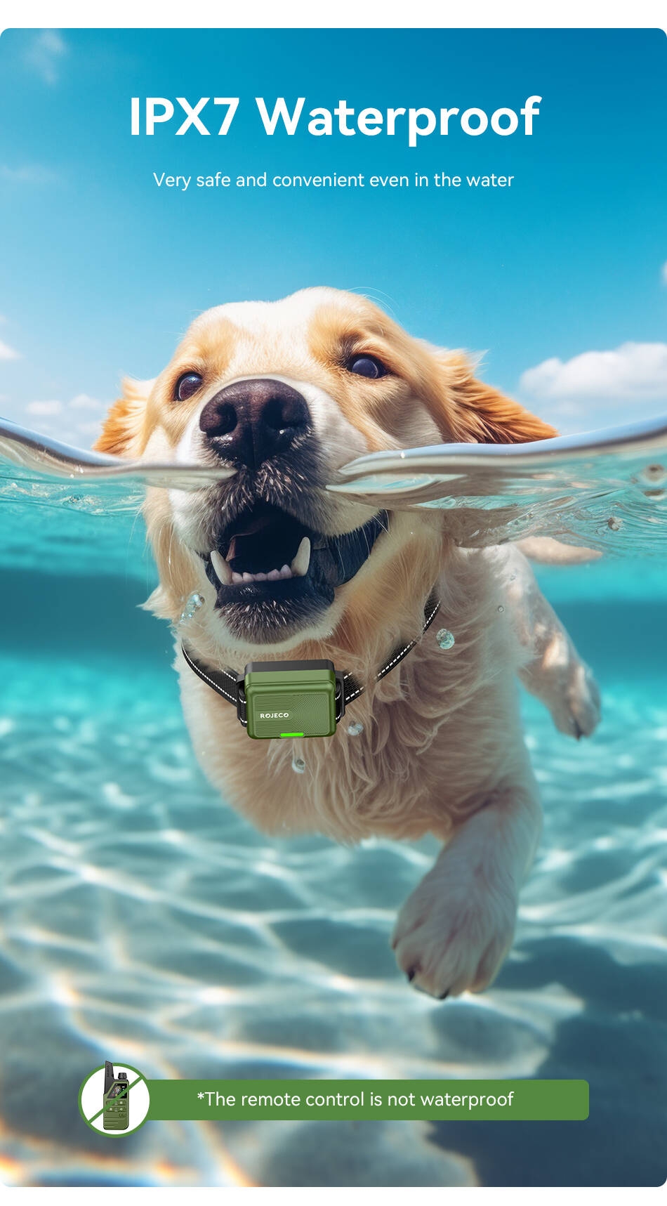 S17b99480dfce4da7bc648c70e5fc12e9G Collier de Dressage Rojeco 300m – Étanche Ipx7 & Rechargeable pour un Chien Bien Éduqué !