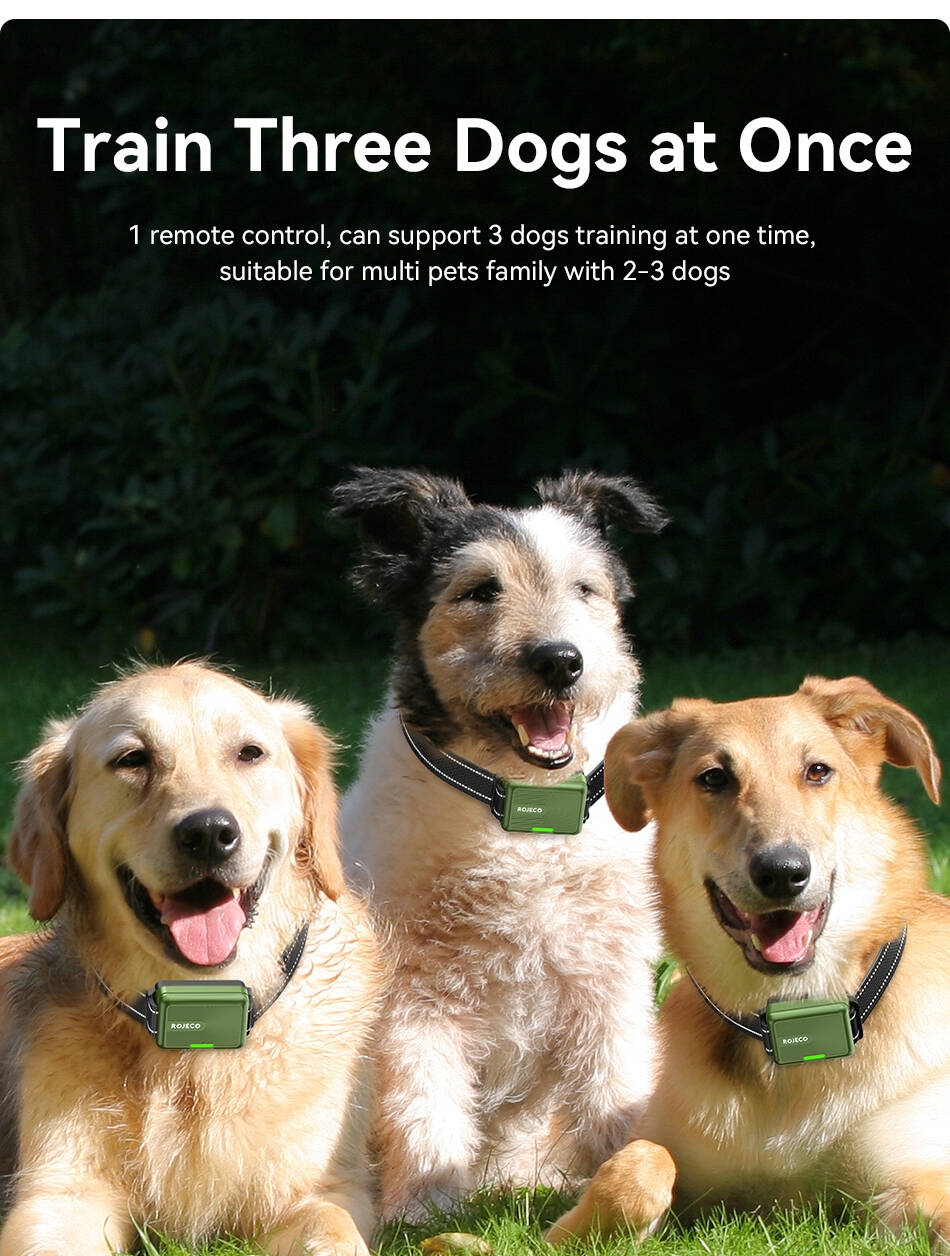 S8ea2b8d6fa6a49abbd6827ba8851d5002 Collier de Dressage Rojeco 300m – Étanche Ipx7 & Rechargeable pour un Chien Bien Éduqué !