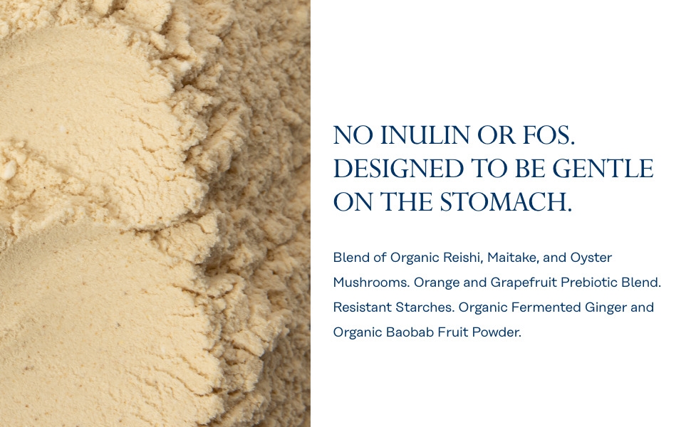 prebiotic powder gut health women digestive nutritional supplements digestion colon men support