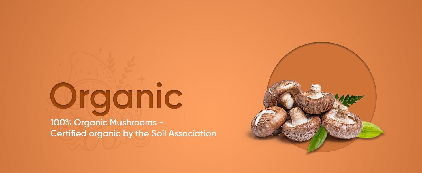 Organic Mushroom Complex 8-180 Capsules - 1000mg - Lion's Mane and 7 Mushroom Blends