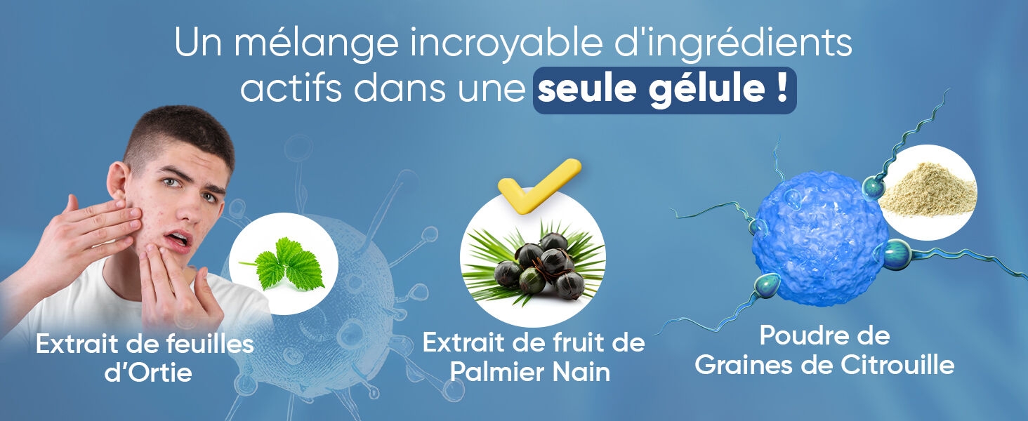 complement prostate palmier nain ortie citrouille