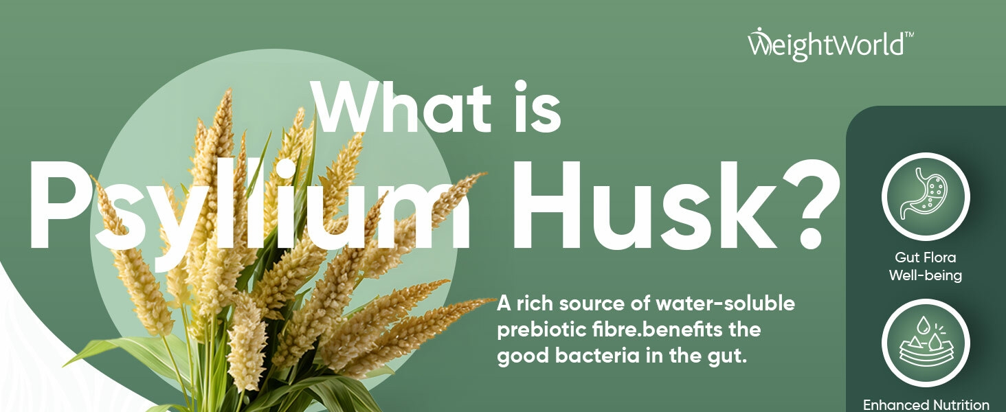 What is Psyllium Husk?