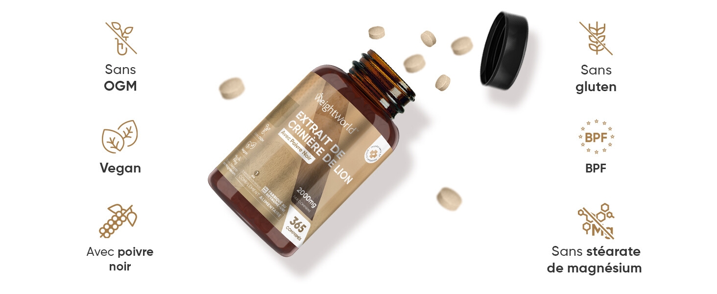 nootropic puissant concentration memoire complexe champignon