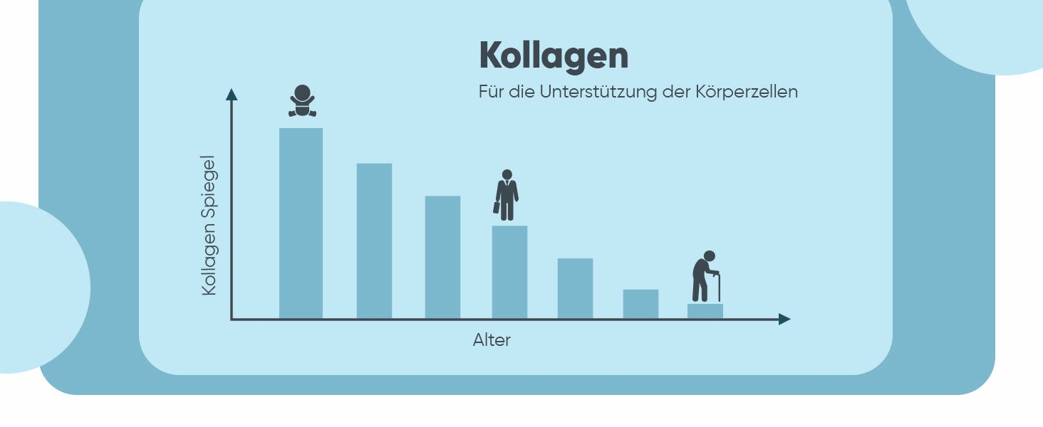 reine Kollagenpulver enthält 500g hydrolysierte Kollagenpeptide