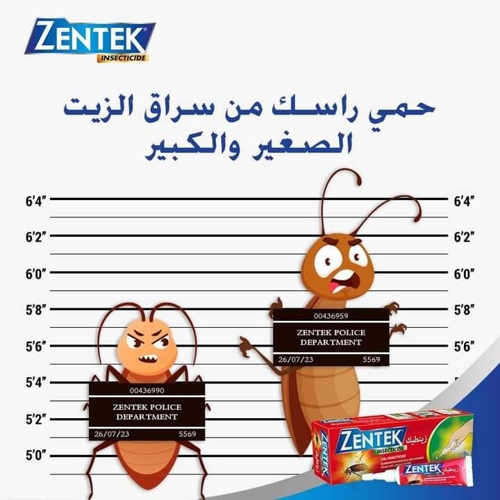 Eingin myndalýsing er tøk