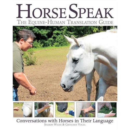 Horse Speak: Conversations with Horses in Their Language