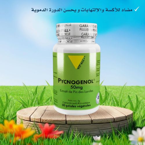 Pycnogénol 50 mg 30 gélules végétales