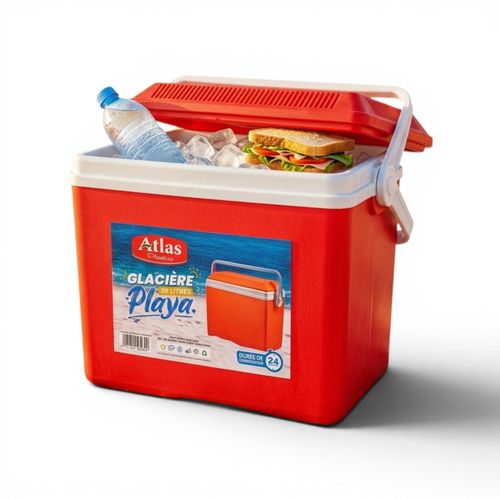 Glacière de Rangement Portable 28 L pour Voiture, voyages ,Camping