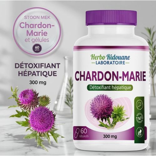 Les capsules de chardon-Marie naturelles sont la solution parfaite pour nettoyer le foie des toxines