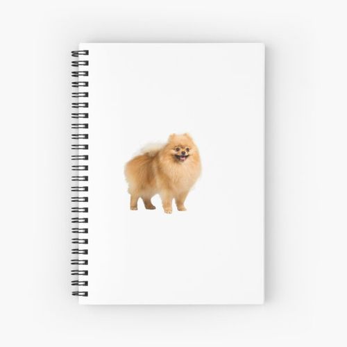 Pomeranian dog Spiral Notebook Bloc note