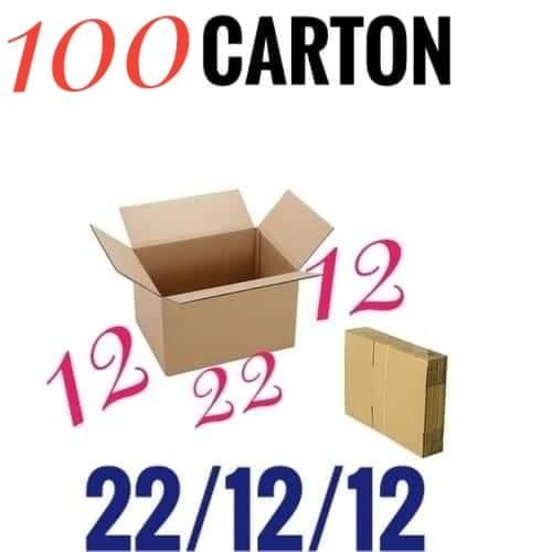 Carton d'emballage x 100 Pièces pour Vendeurs 22cm/12cm/12cm Pour emballer vos produits et les protéger.