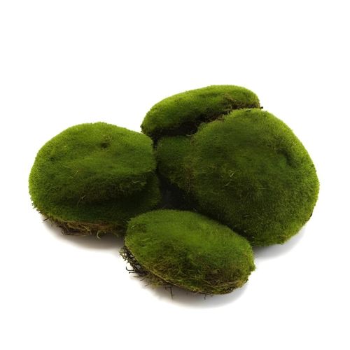 Galets Décoratifs - Mousse Artificielle - Pour Plantes & Ambiance Naturelle - Vert, Lot de 6