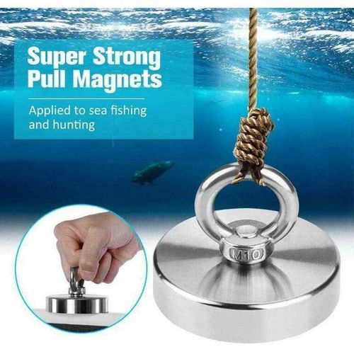 Ensemble de 10 Aimants Argentés Ultra-Puissants 650 LBS