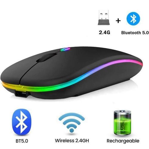Souris Bluetooth Souris sans fil 2.4GHz silencieuse Souris Ergonomique Optique cle USB