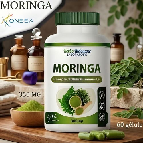 Capsules de Moringa biologique pur Métabolisme énergétique Capsule de poudre de Moringa immunitaire Améliore la digestion et favorise le bien-être général.