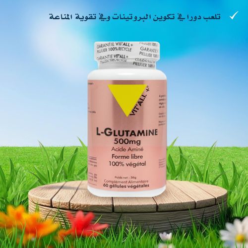 L-Glutamine 500 mg – Acide aminé – Forme libre – 100 % végétal – 60 gélules – Vit’All+