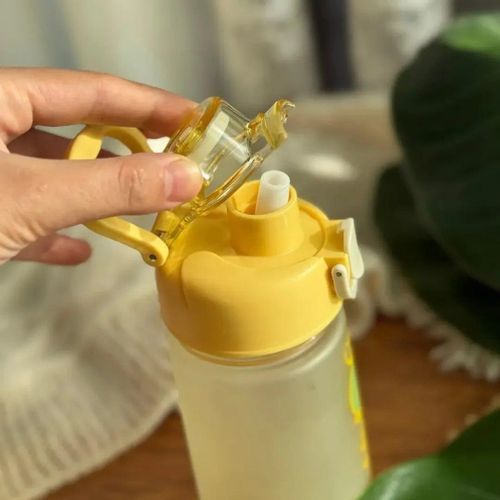 Bouteille d’eau 500 ml avec repères de mesure