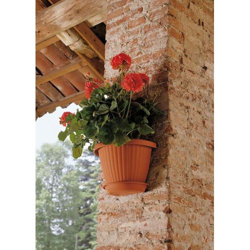 Pot mural avec soucoupe 25 cm