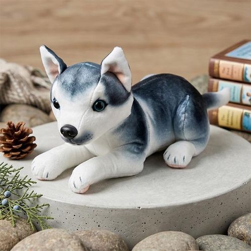 Peluche Chien husky Réaliste 30 cm - Jouet Doux pour Enfant