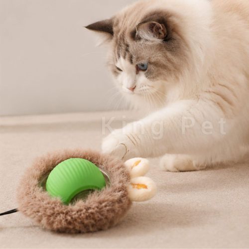 Balle interactive intelligente pour chat – Rotation automatique, peluche Incluse, recharge USB