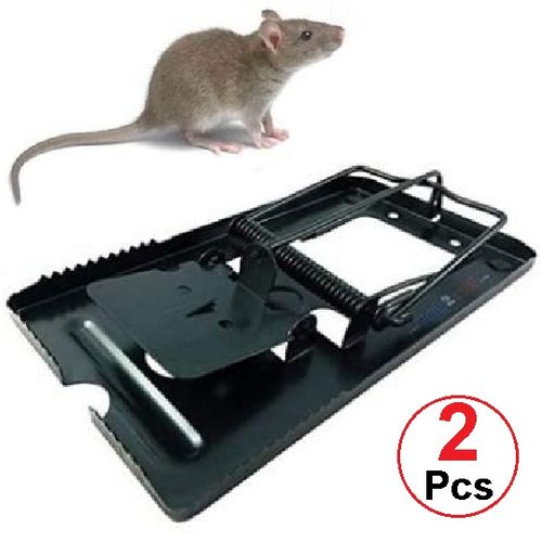 Pige Souris et Rat la Solution efficace pour se dbarrasser des souris