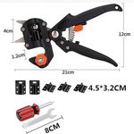 product_image_name-Generic-Coupe parfaite = croissance garantie !-5