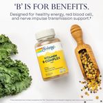 product_image_name-Solaray-Vitamin B-Complex 100 mg, Énergie saine, Formation de cellules sanguines & amp; Support de transmission d'impulsions nerveuses, 100 VegCaps ( 100 Compter )-4