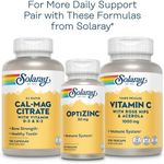 product_image_name-Solaray-Vitamin B-Complex 100 mg, Énergie saine, Formation de cellules sanguines & amp; Support de transmission d'impulsions nerveuses, 100 VegCaps ( 100 Compter )-5