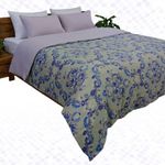 product_image_name-DWIRTY-غشاء الكويط ذو وجهين 'فينوس' -  من مجموعة 'حبة الحياة' لعام 2024 + 2 غشاء وسادة مجانا-2