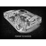 Lancia fulvia rallye  Poster Chambre Haute Qualité