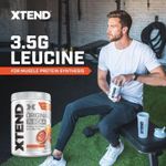 product_image_name-XTEND-XTENDOriginal BCAA 456 جرام بنكهة البرتقال الأحمر الإيطالي – 7 جرام BCAA (ليوسين، إيزوليوسين، فالين) + إلكتروليتات وانتعاش-3