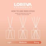 product_image_name-LOREVA-نشرة  هي عطور تحتوي على علكة لمنزلك أو مكتبك.-4